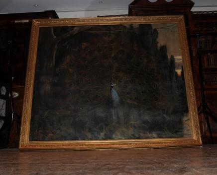 6ft XL pittura a olio del pavone uccello Gilt inglese Cornice Art 1820