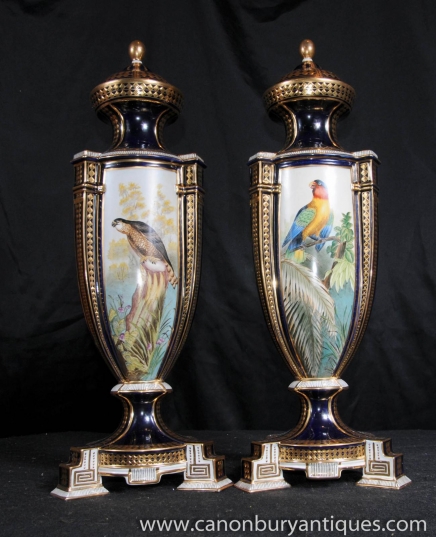 Paire porcelaine de Sèvres Perroquet tropical Vases d'oiseaux Urnes Paire porcelaine de Sèvres Perroquet tropical Vases d'oiseaux Urnes