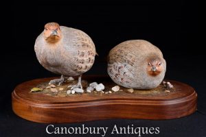 Pair Victorian Hand Carved Partridge Game Bird Statues 1880