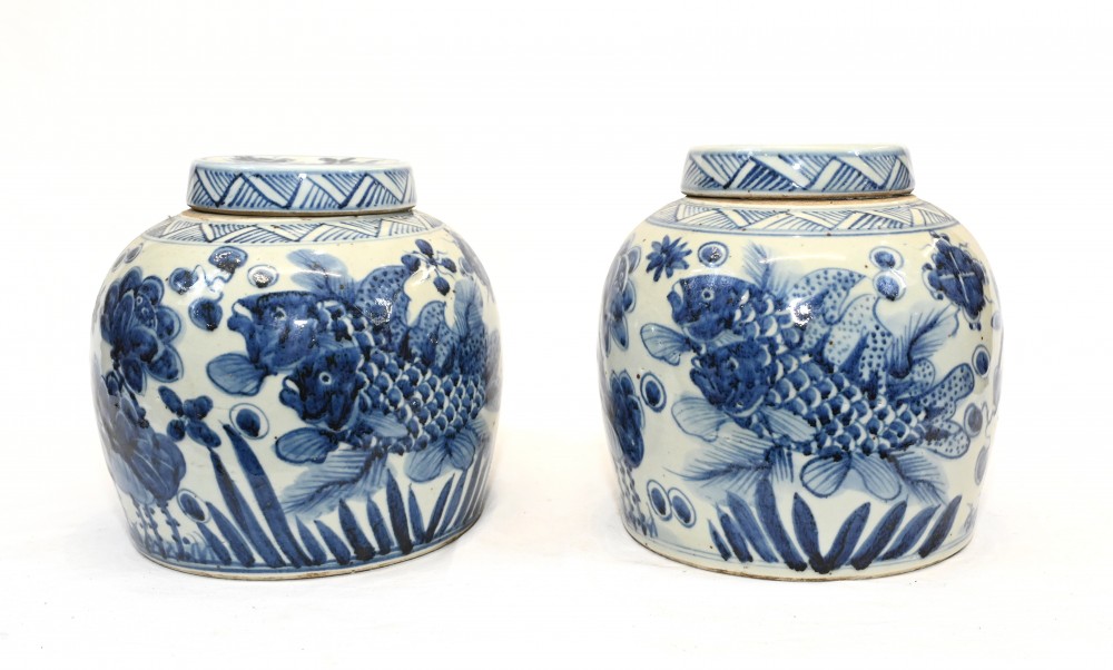 Chinese Porcelain Urns Blue and White Goldfish Jars Nanking
